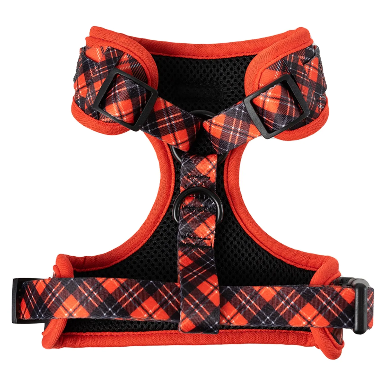 Dog Harness